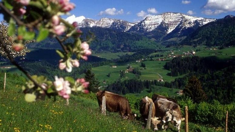 Fewo Alpenbrise, Oberstaufen Eksteriør billede